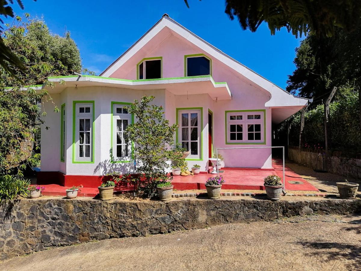 Nuwara Eliya Mountain View Homestay Zewnętrze zdjęcie