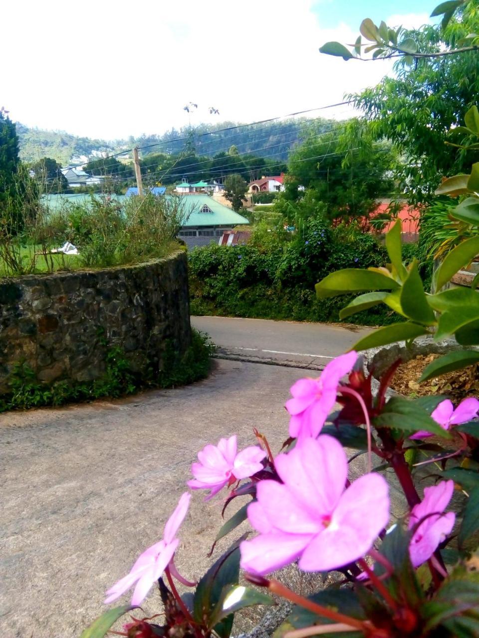 Nuwara Eliya Mountain View Homestay Zewnętrze zdjęcie