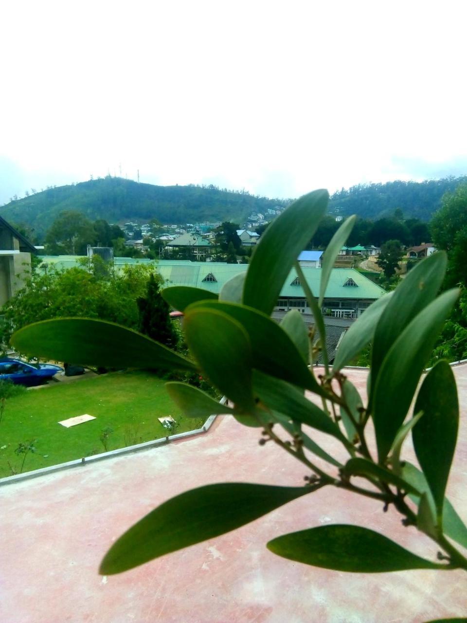 Nuwara Eliya Mountain View Homestay Zewnętrze zdjęcie