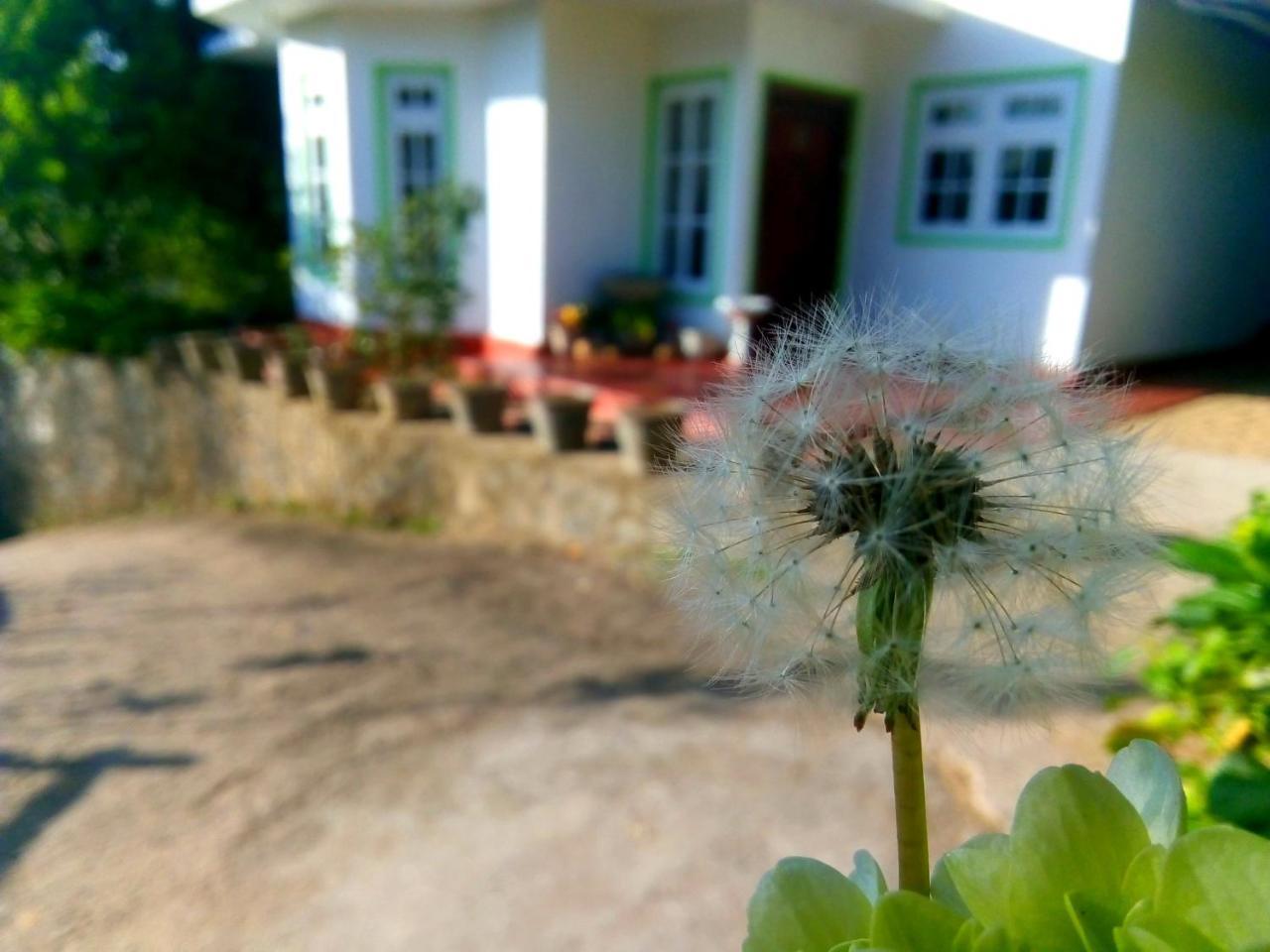 Nuwara Eliya Mountain View Homestay Zewnętrze zdjęcie