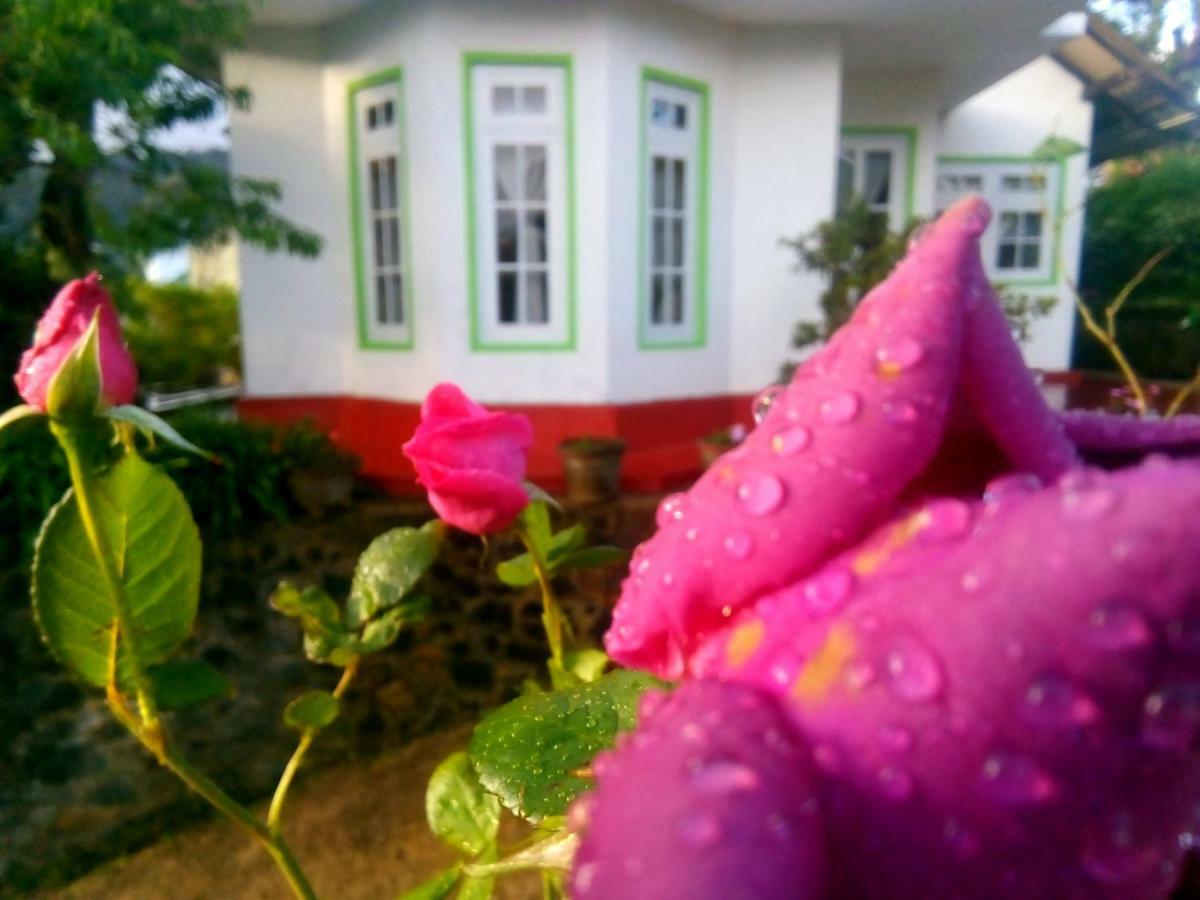 Nuwara Eliya Mountain View Homestay Zewnętrze zdjęcie