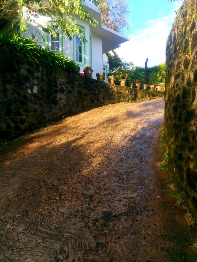 Nuwara Eliya Mountain View Homestay Zewnętrze zdjęcie